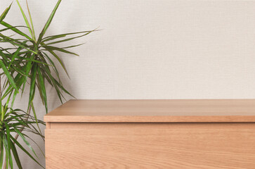 Wooden chest of drawers, on the left is a living plant dracaena