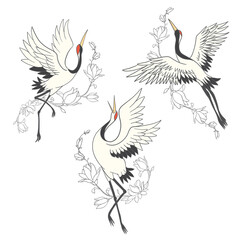 Vector set of illustrations bird crane. White stork .