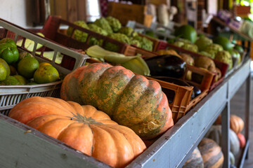 Shelves and boxes with organic vegetables and fruits for sale, containing pumpkin, orange, avocado, eggplant etc.