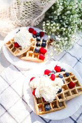 summer picnic with lemonade in glasses, flowers, belgian waffles with raspberry and blueberry and cream