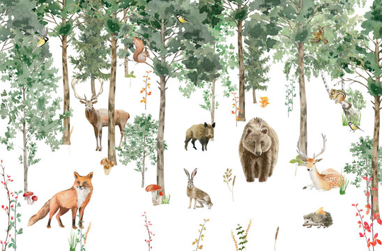 Fototapeta Children's wallpaper. Watercolor forest with animals.