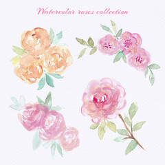 Watercolor roses set. Hand draw watercolor roses, gentle colors, feminine design