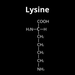 Amino acid Lysine. Chemical molecular formula Lysine is an amino acid. Vector illustration on isolated background