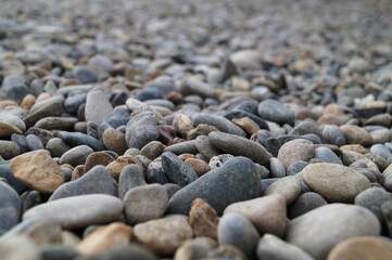 
Dry, small pebbles of stones on the beach. Side view. Macrophotography