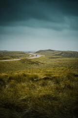 Dramatic looking nature countryside view of the fresh green spring meadow and grass beach dunes....