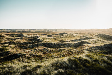 Beautiful wide panorama views of the endless grass beach sand dunes on the danish coast with warm spring summer sunlight. Nationalpark Thy in North Jutland in Denmark on the danish Noth sea coast