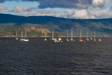 Boats anchored in a harbour at Cowichan Bay
