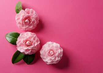 Flower Bottom Left Corner on Pink