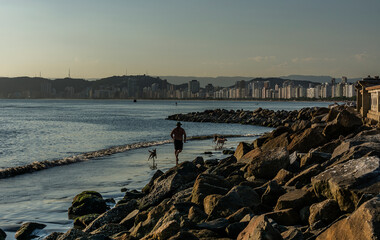 View of the edge of Santos beach from the rocks of Ponta da Praia in the late afternoon. A man with tree dogs playing on the beach. In the background, the buildings on the waterfront.