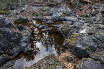 trees reflecting in the water on the rocky shore