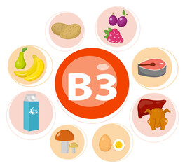 Vitamins and Minerals foods .Vector set of vitamin rich foods. Vitamin B3 meat, spinach, poultry, fish, liver, mushrooms, potatoes and peanuts.