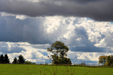 Fototapeta na wymiar clouds over the field