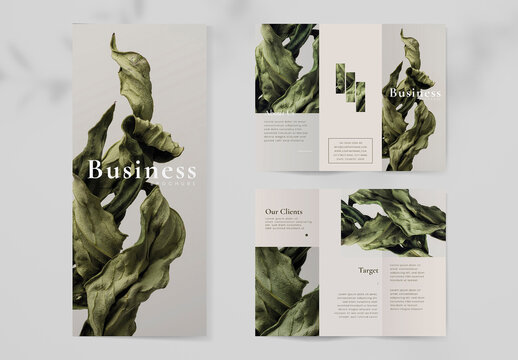 Business Brochure Design Layout