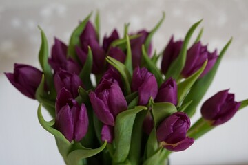 bouquet of purple tulips in vase - close up