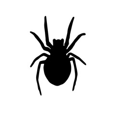 Spider Black Widow. Black bug spider silhouette, isolated white background. Scary Halloween icon, symbol horror, animal arachnid, creepy dangerous insect, arachnophobia fear Vector illustration