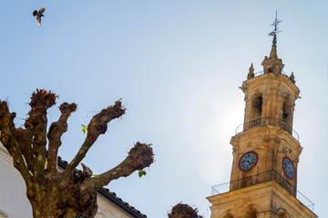 Fototapeta na wymiar Iglesia de Santa Maria de la Encarnacion en el pueblo de Constantina, en Cazalla de la Sierra, Sevilla, Andalucia, España