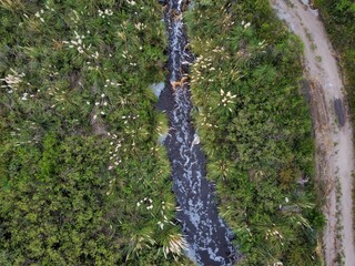 rio toma senital 