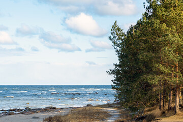 Wild Baltic Sea in Latvia