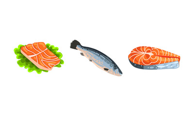 Fresh Salmon Fish Fillet and Steak as Seafood Product Vector Set