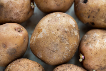 A few organic potatoes on the table. Made in natural light, soft shadows.