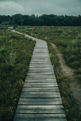 Fototapeta premium wooden bridge in the forest