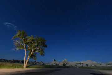Obraz premium Scenic view of a tree and unusual rock formations at Badlands National Park in South Dakota at night