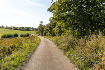 Fototapeta na wymiar Pathway in the countryside