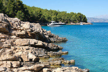 WIld pine forest along Hvar island, coastline of Adriatic Sea. Maslinica Beach, Public bathing...