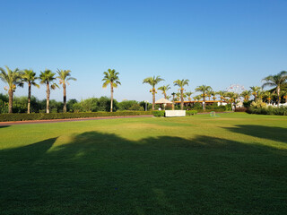 Fototapeta premium golf course