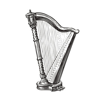 Musical harp hand drawn sketch. Music concept vector illustration