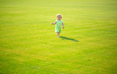 Fototapeta na wymiar Baby play in green grass. Child development. Adorable little kid walking in an autumn field.