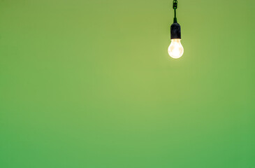 the included light bulb on the background of a green wall