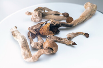 Magic Mushrooms on white background. Psilocybin compound laboratory research.