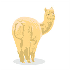 Llama Alpaca beige