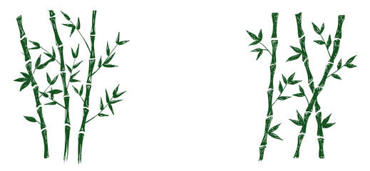 Bamboo tree. Hand drawn style. Vector illustrations.
