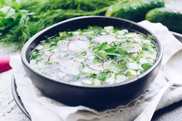 Okroshka. Traditional russian soup with radish