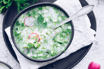 Okroshka. Traditional russian soup with radish