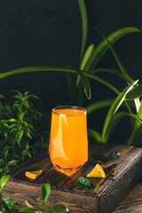 Citrus cocktail, orange juice, summer orange lemonade in highball glass surrounded decor in dark fresh tropic style with backlight