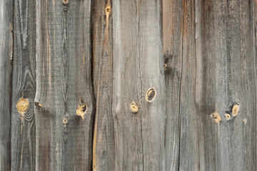 Natural wood texture for background. Copy space, banner
Old wood Natural background