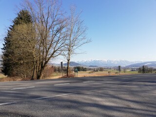 Fototapeta premium landscape with trees and snowcapped mountains