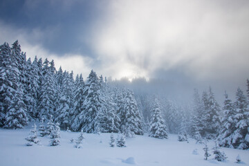 Obraz premium paysage enneigée de haute montagne en hiver avec une brume matinale