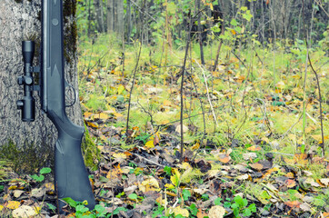 air rifle with telescopic sight , for sport hunting