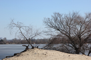 The landscape with river, trees and sand