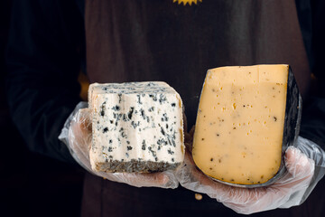 Blue cheese and gouda with italian herbs in hands. Holding dorblu, gorgonzola, roquefort. French gourmet traditional cuisine.