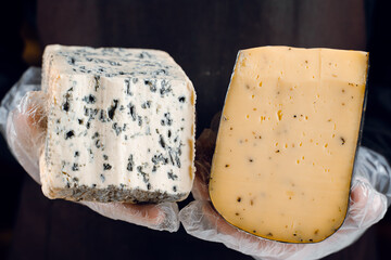 Blue cheese and gouda with italian herbs in hands. Holding dorblu, gorgonzola, roquefort. French gourmet traditional cuisine.