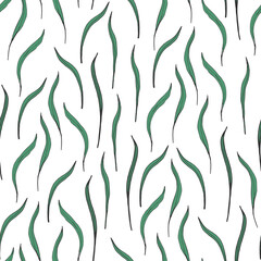 Herbs plants vector simple seamless pattern