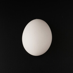 Chicken egg with white shell on black background isolated