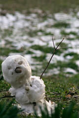 Snowman melting with green grass. Concept: spring