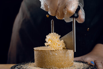 Shaving tete de moine cheese using girolle knife. Variety of Swiss semi-hard cheese made from unpasteurized cows milk, the name Monks head
