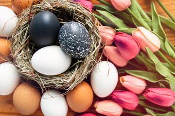 Happy Easter card background, colored dark black Easter eggs in nest top view on wooden background with spring flowers, selective focus image.